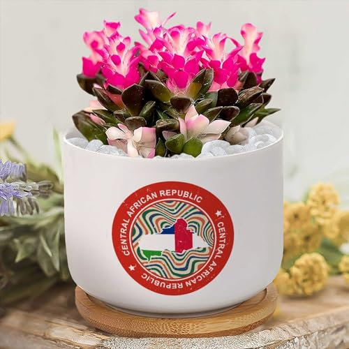 Yelolyio Blumentopf mit Flagge der Zentralafrikanischen Republik, Blumentopf für Sukkulenten, personalisierbarer kleiner Blumentopf für Oma, Mutter, Oma