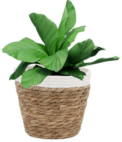 ARZOM Seegraskorb mit Stoffeinsatz, 16 cm Durchmesser, 14 cm Höhe, Obstkorb, Brotkorb, Blumentopf Natur, Körbchen, klein rund (Mit Stoff)