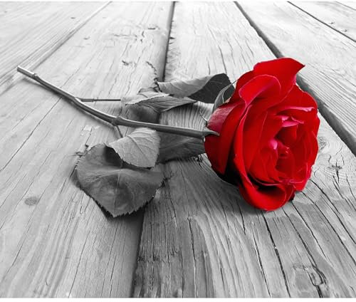 decomonkey - Papier Peint Panoramique Bois Rose 400x280 cm - Décoration murale moderne – Tapisserie décorative pour chambre salon - Rouge bois fleurs nature plantes roses gris