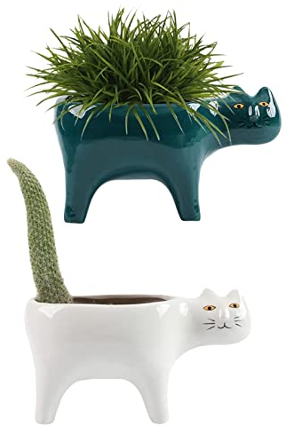 DIYOMR Katzen-Übertopf, Tier-Sukkulententöpfe, Keramik-Katzen-Mini-Blumentöpfe, Kakteen/Pflanzenbehälter für Zuhause, Büro, Schreibtisch, Fensterbank, Dekoration, Pflanzen nicht im Lieferumfang