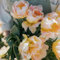 4 Pcs Tulpenzwiebeln Kaufen - Tulipa Gesneriana - Tulpen Zwiebeln, Blumen Geschenk, Deko Wohnzimmer Tulpenzwiebel, Blumenzwiebeln Tulpen, Blumen Zwiebeln, Minigarten Blumenzwiebel