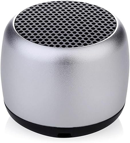ZISONIX Mini Haut-Parleur Bluetooth, Haut-Parleur sans Fil à Couplage Automatique de Caisson de Basses Lourd pour Téléphone pour PC (Argent)
