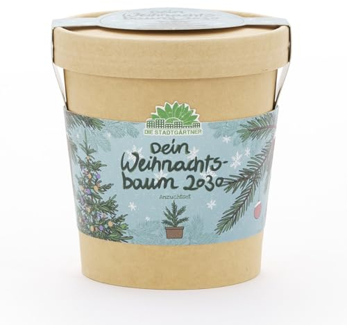 Geschenk Dein Weihnachtsbaum 2030 von Die Stadtgärtner | Christbaum-Anzuchtset mit Fichten-Samen | Inkl. Pflanzbecher, Saatgut und Kokoserde | Als Wichtelgeschenk, zum Nikolaus, für Adventskalender