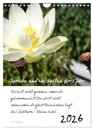 Sprüche und Weisheiten für´ s Jahr (Wandkalender 2026 DIN A4 hoch), CALVENDO Monatskalender: Blumen und Sprüche (CALVENDO Natur)