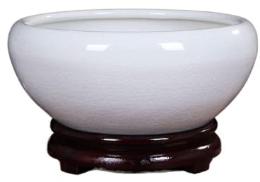 BTYQKZVPM Keramik-Blumentöpfe für den Innenbereich, Keramik Hydrokultur Blumentopf Seerose Schüssel Lotus Container(White,L)