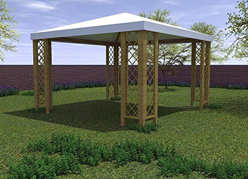 Salone Negozio Online Tonnelle en Bois de pin Massif 3 x 3 m avec Treillis, Hydrofuge