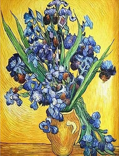 Aeadar Diamond Painting Van Gogh's Iris, 5D Diamant Painting Bilder Diamant Malerei Set, DIY Diamant Malerei für Home Wall Décor (30×40cm)