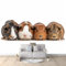 Papier Peint Panoramique 3D Cochon D'Inde Mignon Animal Murale Chambre à Coucher Maison Décoration Intérieure, Papier Peint intissé fond pour Chambre D'Enfant Salon Murale 400x280 cm