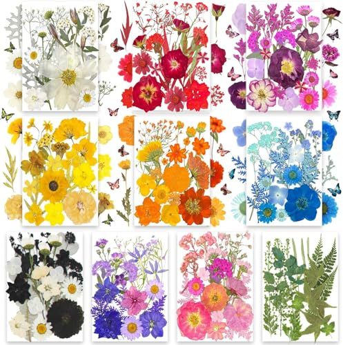 301 STK Getrocknete Pressblumen Blätter & Schmetterlingsaufkleber – TrendCart Natürliche Trockenblumen für Harzmuster Nagelkunst DIY-Kunsthandwerk & Schmuckherstellung