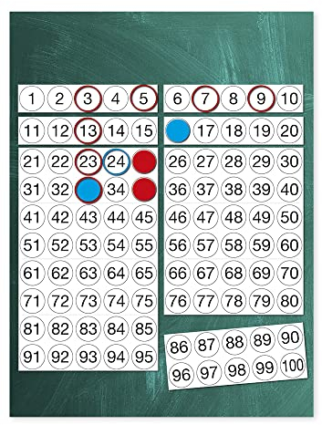 TimeTEX - Hunderter-Tafel aus robuster Magnetfolie - inkl. roten und blauen magnetischen Ringen und Kreisen - 92teilig - ca. 60 cm x 60 cm - 93019