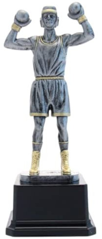Hole Gadget Premiazioni Personalizzate Sportive Coppe e Trofei Figurativi per Tutti Gli Sport con Targhetta Personalizzata Premio Riconoscimento per Eventi Specifici (Pugilato)