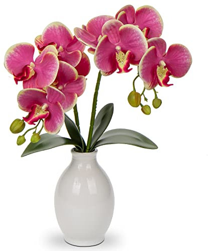 Briful Künstliche Orchideen, 40,6 cm, künstliche Orchideen in Keramikvase, künstliche Orchideen-Arrangement für Zuhause, Büro, Zimmer, Tischdekoration, Küche, elegante Dekoration für den Innenbereich