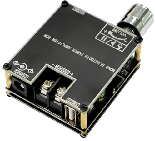 ARVALOLET ZK-301B Mono 30W Carte ampli Audio Prise en Charge sans Fil TS Bluetooth 5.3 Module d'amplificateur Audio DC9-24V Module d'amplificateur Puissance Audio Mono contrôle APP pour Kit