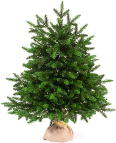 EveXmas- Onyx -65cm- Hochwertiger künstlicher Weihnachtsbaum – Einfach zu montieren Wunderschöne Baumspitzen aus 100% PE - Sehr natürlich aussehender Baum