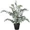 CREATIV green künstlicher Eukalyptus 53cm im Topf I künstliche naturgetreue Eukalyptuspflanze grau-grün I Deko Eukalyptus für Innen I hochwertige & dekorative Dekopflanze I Kunstpflanze im Topf