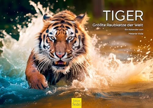 Edition Seidel Premium Kalender Tiger 2026 Format DIN A3 Wandkalender Tierkalender die größte Raubkatze Afrika Welpe Katze Raubtier Wildtier Melanie Viola