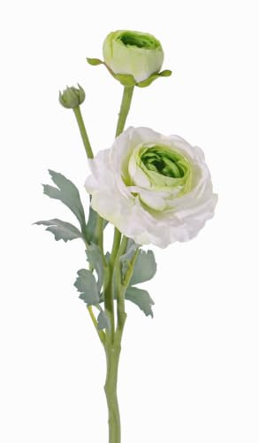 artplants.de Kunstblume Ranunkel Yakira, weiß - grün, 40cm, Ø 4-9cm - Künstliche Blumen