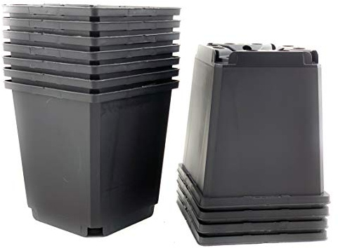 IVORYS-GARDEN 50 x Anzuchttopf 1 Liter 11x11x12 cm Vorzucht Anzucht Pflanztopf Blumentopf Kunstoff Pflanztöpfe Schwarz