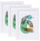 Spotjoy Bilderrahmen 10 x 15cm, 3er Set, MDF-Rahmen Holzrahmen mit Acrylglas Fotorahmen für Tisch- und Wandmontage Echtholz Passepartout Dokumentenrahmen Zertifikatsrahmen, Weiß