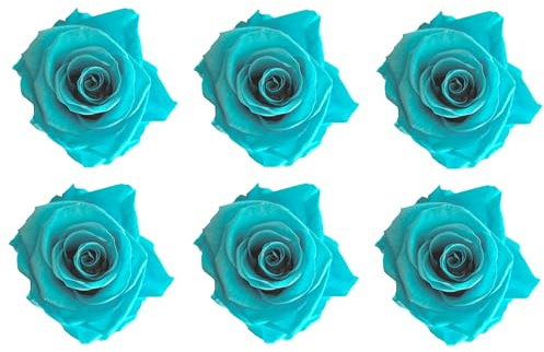 LA ROSEE ETERNELLE 6er-Set Konservierte Rosen Miami Blue – Leuchtend Blaue Blumen für DIY-Deko, kreative Events, Moderne Hochzeiten & originelle Geschenke