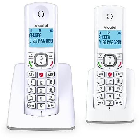 ALCATEL F530 Duo - Telefono fisso cordless DECT - Grande display retroilluminato - Vivavoce - Funzione blocco chiamate - 2 tasti di memoria diretta - 2 portatili - Bianco/Grigio