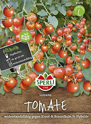 Tomate Lizzano F1 von Sperli-Samen [MHD 01/2020]
