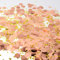 IOPJLK Konfetti Geburtstag Deko 100g, Multi-Color Streudeko Geburtstag, Geburtstag Dekoration Konfetti, Hochzeits Dekoration, Handwerk Verzierung, Ballon Füllung Dekoration (Roségold)