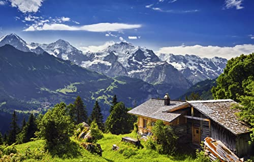 LHJOYSP Panorama Puzzle 1000 Teile,Natürliche Schönheit,Schweiz,Gletscher,Schlucht,Grindelwald,75x50cm