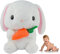 Kikuo Hase Kuscheltier, Weißer Hase Plüschtier, Bunny Plush mit Karotte, Hase Stofftier für Mädchen Jungen Kindertagsgeschenke (22cm)