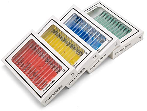 48pcs Kids Plastic Prepared Microscope Slides of Animals Insects Plants Flowers Sample Specimens for Microscopes
