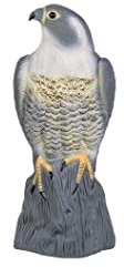 Succsale-BRADAS-Vogelabwehrmittel-17/17,5/41 cm Falke-Grau -Kunsstoff-Maße:17/17,5/41 cm-NEUHEIT