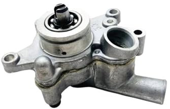 Qdkpgls Pompe à Eau for Quad L 260 300 400 OEM 22820