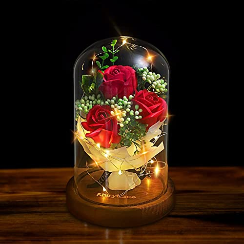shirylzee Forever Rose Flowers,Artificial Flower Rose Gift Red Flower in A Glass Dome Unique Gifts for Women, Christmas, Wedding,Valentine's Day, Anniversary Birthday