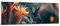 Panorama Bilder auf Glas Vogel Exotisch Blume Glasbild 90x30cm Wandbilder Dekoration Wohnzimmer Schlafzimmer Küche Klein Wanddeko Bild im Glas Wand Kunstdruck Art Modern Wall Decor GAB90x30-5729