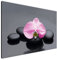 Estika Leinwand bilder - Rose Orchidee - 120x80 cm, 1 teilige kunstdruck - Wandbilder wohnzimmer, schlafzimmer, Moderne wanddeko, Bild auf leinwand - SPA bilder - 2010A_1B