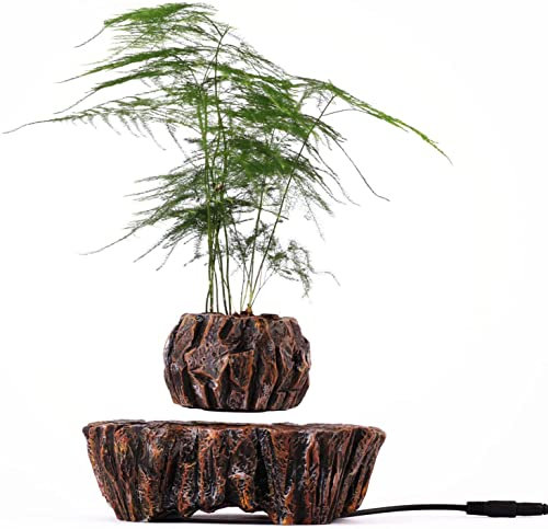 WLDOCA Schwebender Blumentopf, magnetisch, schwimmend, 360 Grad drehbar, Bonsai, Schreibtisch-Dekoration für Wohnzimmer, Büro, Bar, Geburtstagsgeschenk, A, 1
