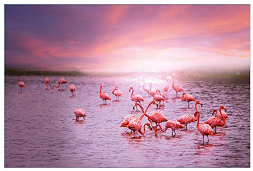 Wallario Küchenrückwand selbstklebend 90 x 60 cm, Motiv: Rosa Flamingos bei Sonnenuntergang | Spritzschutz abwischbar & pflegeleicht
