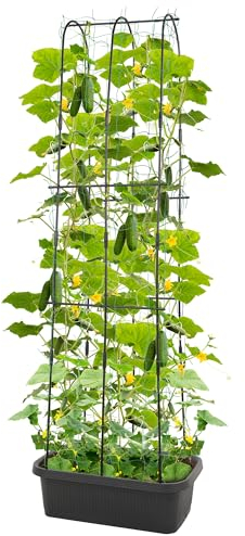 JonesHouseDeco M2 Pcs Garten Gemüse Melone Pflanzer mit Spalier selbst Bewässerung erhöhten Garten Unterstützung für Pflanzen Gemüse Rebe Blumen Blumen im Freien Patio Melone Pflanztopf mit Spalier