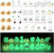 Select Zone 36 Stück Mini Tiere Leuchten Halloween Geist Kleine Harz Deko im Dunkeln Leuchtende Bunt Miniatur Figuren für Gartendeko, DIY Micro Landschaft Szenen, Heimdekorationen