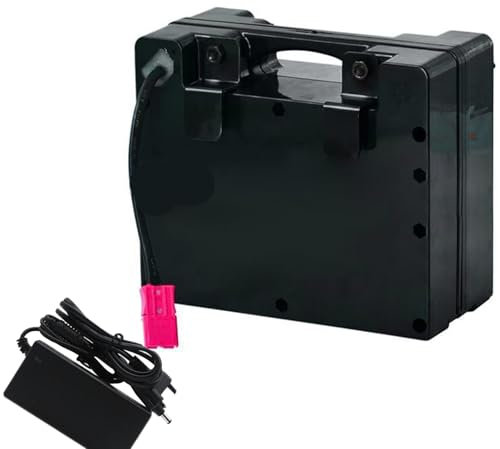 Batteria per Sedia Rotelle Elettrica 24V 10AH~25AH Batteria Al Litio di Grande Capacità Batteria di Ricambio Batteria Ricaricabile Sedia a Rotelle Elettrica 50W~600W 24V15AH,EU