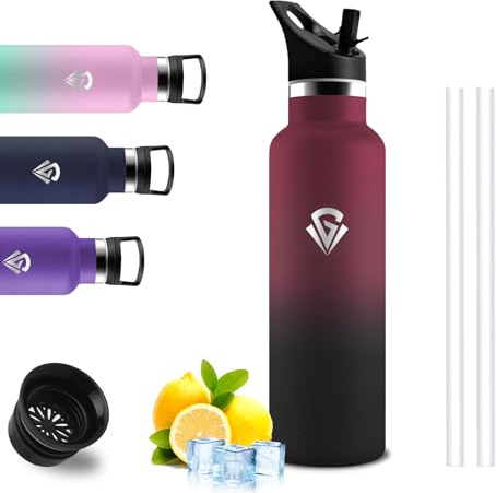 Stainless Steel Water Bottle, 500 ml, Leak-Proof Water Bottle with Straw, Double-Walled Vacuum Insulated, Metal Water Bottle for School, Office, Camping, Travel