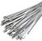 Deecam Fascette Metalliche 300mm, 50 Pezzi Fascette in Acciaio Inox, Fascette Acciaio Inox Adatto Per Avvolgimenti Di Scarico, Fasci Di Cavi, Manutenzione Del Giardino e Tende Da Sole