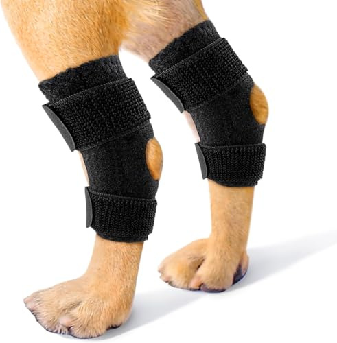 Qcwwy Rodilleras para Perros para la Pierna Trasera, Abrazaderas para Las Piernas Traseras del para Perros con LCA Rodillera Dislocación Artritis Tirante para la Pierna Trasera (L)