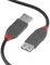 Lindy USB 2.0 Type A Extension Cable 1m , USB A Male to A Female Cable,Data Transfer Compatible for Printer, PC, Laptop, Scanner, Camera, Keyboard,, Hard Drive, USB Disk , Anthra Line - Black