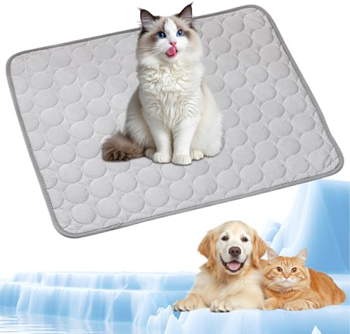 Haustier Kühlmatte, Selbstkühlende Hundematte, Kühldecke Katzen mit Kühlendes Gewebe, Ungiftig Kühlkissen für Haustiere, Waschbar Hund Kältematte für Zuhause, im Freien und im Auto, 62x50cm, M, Grau