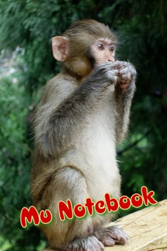 Mu Notebook