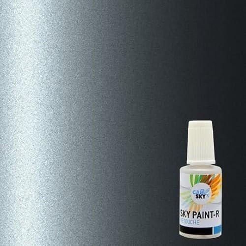 CARSKY Stylo retouche peinture carrosserie compatible avec Citroën GRIS FER MET EZWD (flacon pinceau 20ml) + vernis brillant (flacon pinceau 20ml)