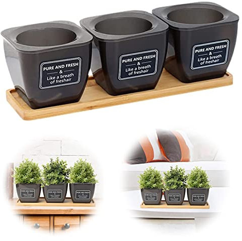 Maceta Hierbas Riego AutomáTico Autorriego Plantador Interior Exterior Tiesto Plantas Plantador Suculentas Maceta PláStico Riego AutomáTico para Hierbas AromáTicas Interiores Y Ventanas 3 Piezas