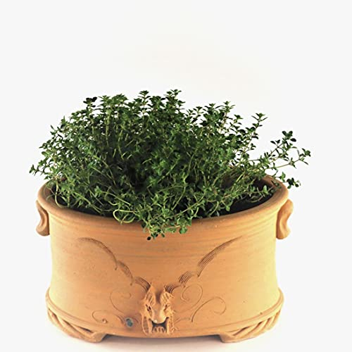 Palatina Werkstatt ovaler Pflanztopf Blumentopf aus Terracotta, handgefertigtes Pflanzgefäß für Balkon Garten Terrasse (M)