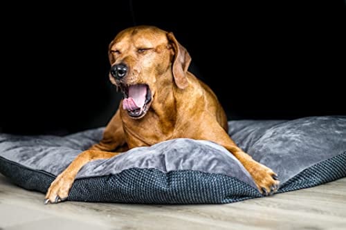 Lebon - Orthopädisches Hundekissen Hundebett Jolie - Dick gefülltes Kuschelweiches Kissen in 4 Größen 60cm, 80cm, 100cm und 120cm - Mit Reißverschluss und waschbar Hochwertig und robust (L)